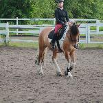 Little Giant