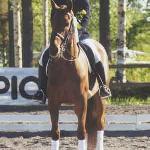 Källbackas Ettore