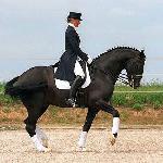 Chirlon 870