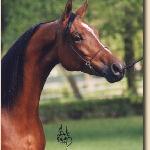 Alcistka - Alcistka 1999<br />&copy; Stuart Vesty