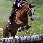Zafir