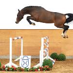 Million Dollar / Million Dollar van het Schaeck