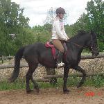 Vineta