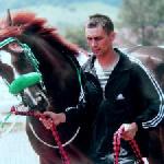 Armeec / Armeets