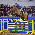 Crowntano Z<br />&copy; Zangersheide