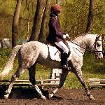 Tenor<br />&copy; Katarzyna Boryna<br /><i>ZR-C Drzonków 14-15.04.2007</i>