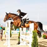 Shadowstep (Eduard)