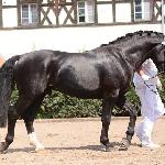 Eros
