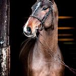Corso<br />&copy; Oliwia Chmielewska