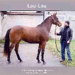 Lou-Lou