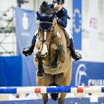 Suedwinds Amanda - HPP Michałowice 2017<br />&copy; Oliwia Chmielewska - chmielewskafoto.pl
