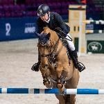 Chintablue - Cavaliada Warszawa 2017<br />&copy; Oliwia Chmielewska - chmielewskafoto.pl