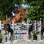 Chintablue<br />&copy; fb Anna Przybył - equine & dog photography