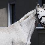 Cascaletto St Ghyvan Z - 2025r.<br />&copy; Paulina Rosa