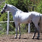 Cascaletto St Ghyvan Z - 2025r.<br />&copy; Paulina Rosa