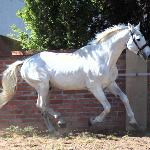Cascaletto St Ghyvan Z - 2025r.<br />&copy; Paulina Rosa