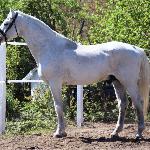 Cascaletto St Ghyvan Z - 2025r.<br />&copy; Paulina Rosa