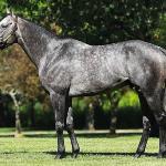 Arrogate