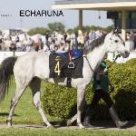 Echaruna