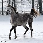 Polana - styczeń 2016<br />&copy; Anna Pyzara-Nakoniechnaia