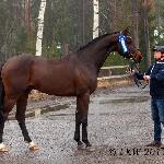 Christer