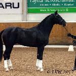 Evegro (Jardin)