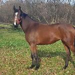 Kortina AA - 11.2019.<br />&copy; fot właściciel