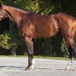 Union Rags