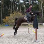 Stolpegårdens Casall-Star - Jaszkowo 2018<br />&copy; Justyna Michałowska