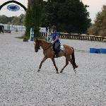 Huk - Jaszkowo 2013