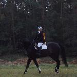 Czoper<br />&copy; Pony Poznań