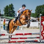 Enjolie ex. Erica<br /><i>fb Stadnina Koni Racot</i>