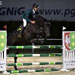 Sewilla L<br /><i>https://www.kjagrohandel.pl/images/2019/konie-sprzedane/sewilla-l/Sewilla-L-Drzonkow-2017.jpg</i>