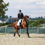 Heiline's Zanzier - Heiline's Zanzier BAZAKONI KJK Szary Michałowice 2018<br />&copy; Dava Palej Timeless Photography