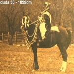 Wadduda