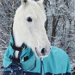 Irish Whisper