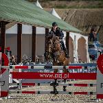 Lucky Star<br />&copy; fb Anna Przybył - equine & dog photography