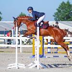 Esterka<br /><i>http://interhorse.pl/wp-content/uploads/2018/04/Esterka-top.jpg</i>