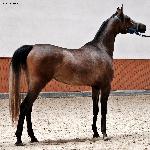 Lilianna - październik 2019<br />&copy; Anna Pyzara-Nakoniechnaia