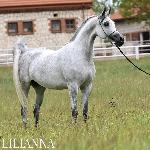Lilianna<br />&copy; Stuart Vesty