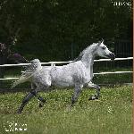 Lilianna - Lilianna, maj 2025<br />&copy; Stuart Vesty
