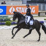 Matchball OLD - Matchball OLD & Sönke Rothenberger - CDI5* Crozet 2023<br />&copy; Dr. Tanja Becker/Equitaris