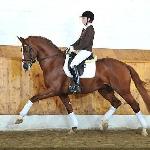 Quasar de Charry
