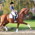 Quasar de Charry