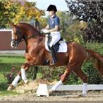 Quasar de Charry