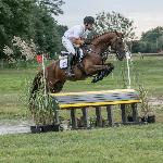 King BH - Baborówko Horse Sale Show 2018<br />&copy; M&R Photo
