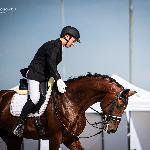 Frodo G<br />&copy; Julia Świętochowska<br /><i>fb Dressage24.pl</i>