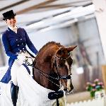 Donna Anna<br /><i>dinaellermann.com/my-horses</i>