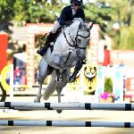 Silvano G<br />&copy; Katarzyna Wiszowaty