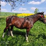 Liczbana - Liczbana 09.05.2020